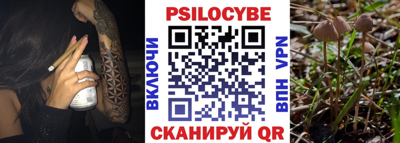Купить закладки  Шумиха  Псилоцибиновые грибы прущие грибы 