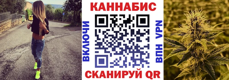 Каннабис планчик  Купить где  Шумиха 